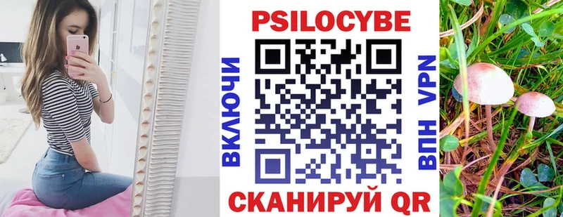 МЕГА   Янаул  Галлюциногенные грибы GOLDEN TEACHER  где купить наркоту 